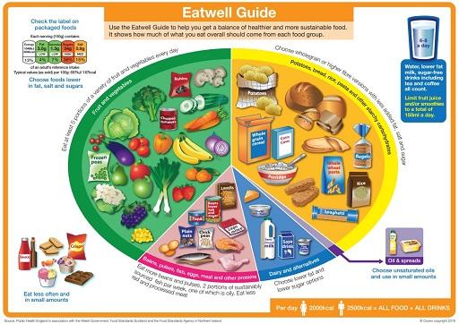 The Impact of Diet Composition on Fat Reduction