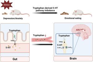 Practical Strategies for Managing Dopamine-Induced Emotional Eating