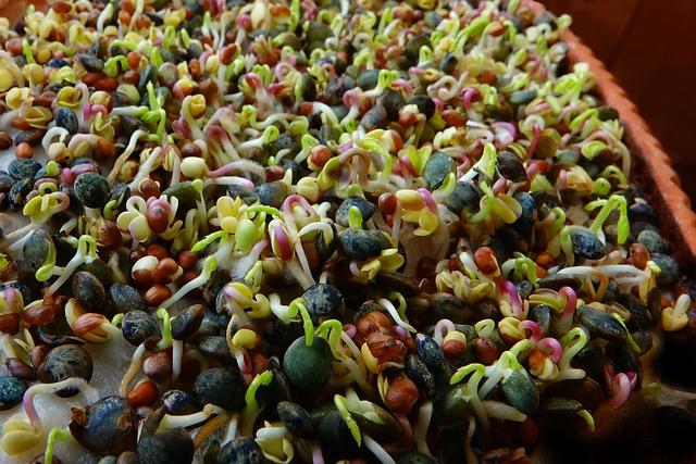 Incorporating Nutrient-Dense Foods for Optimal Satisfaction