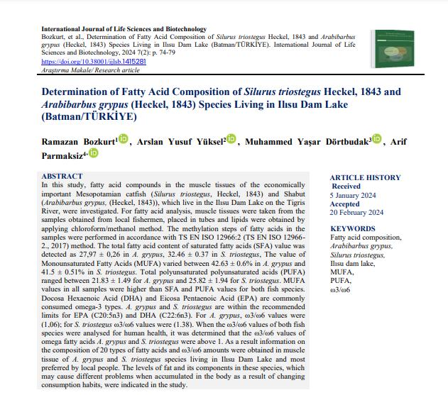 Understanding Body Fat Composition