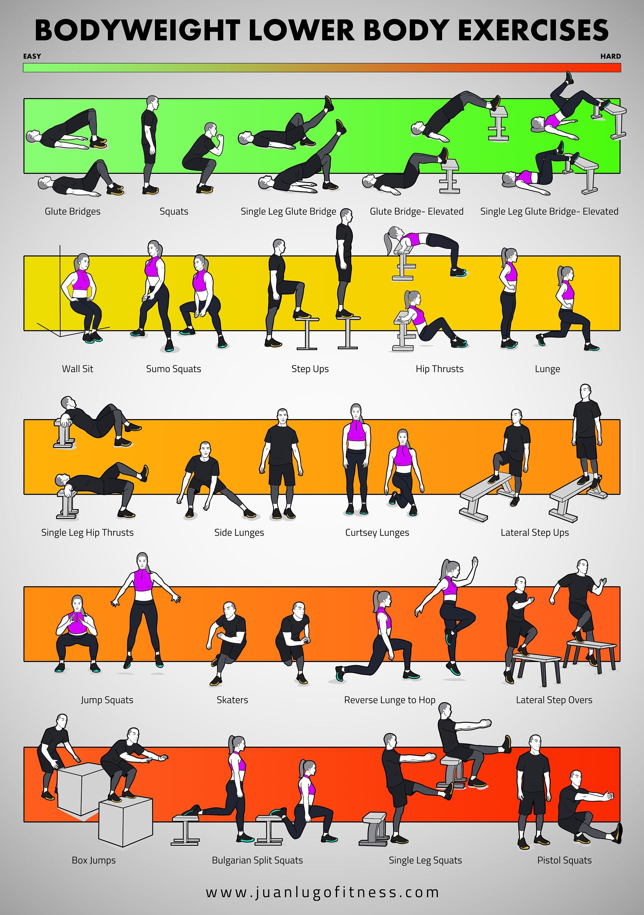 Targeting Key Muscle Groups for Maximum Fat Burn