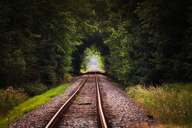 Creating a Personalized Progress-Tracking System for Lasting Motivation