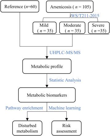 Understanding Key Biomarkers for Effective Metabolic Assessment