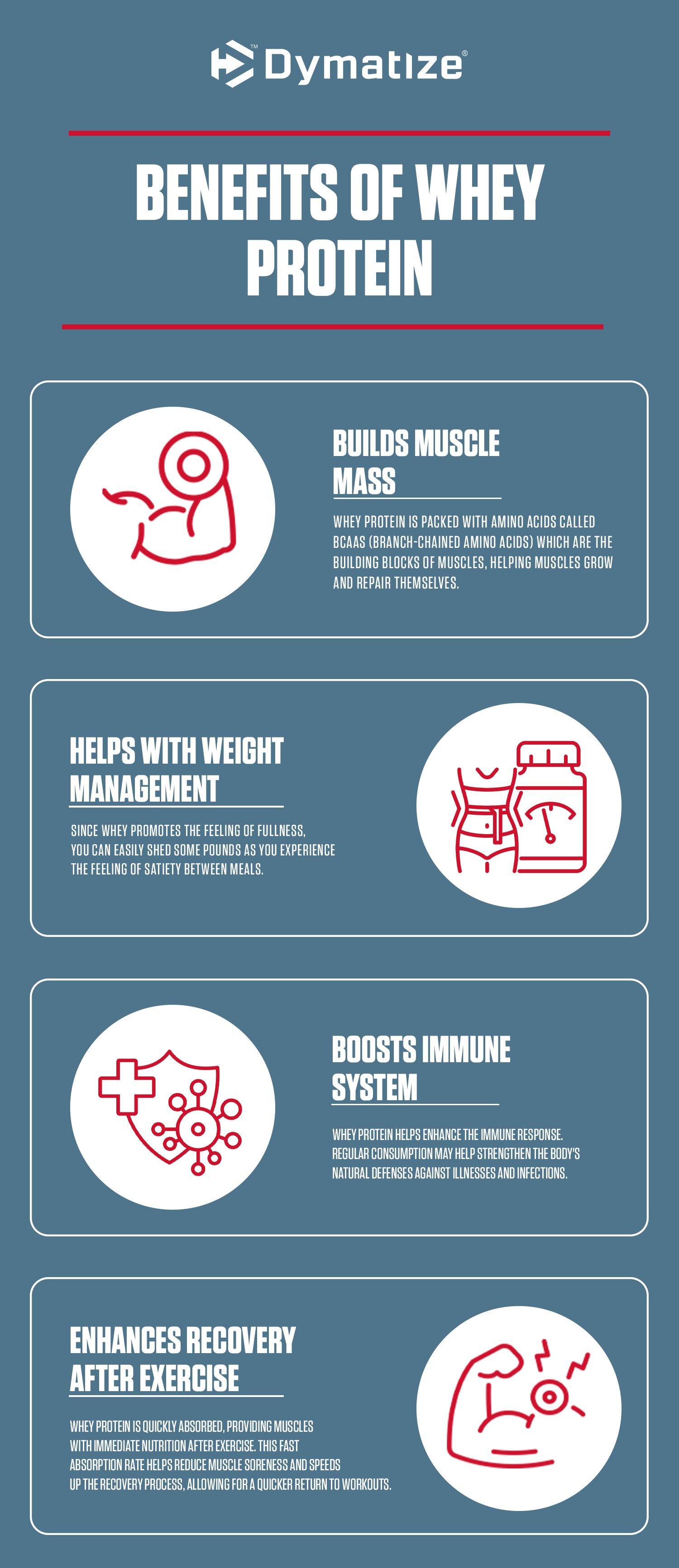 Incorporating Protein at Every Meal for Sustained Energy