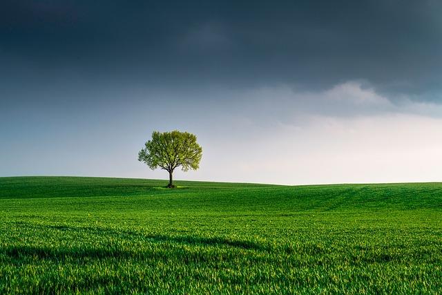 Building a Supportive Environment