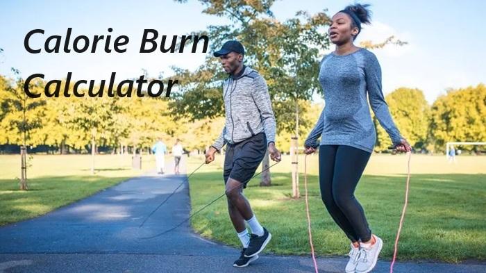 Expert Recommendations for Choosing the Best Calorie Calculator