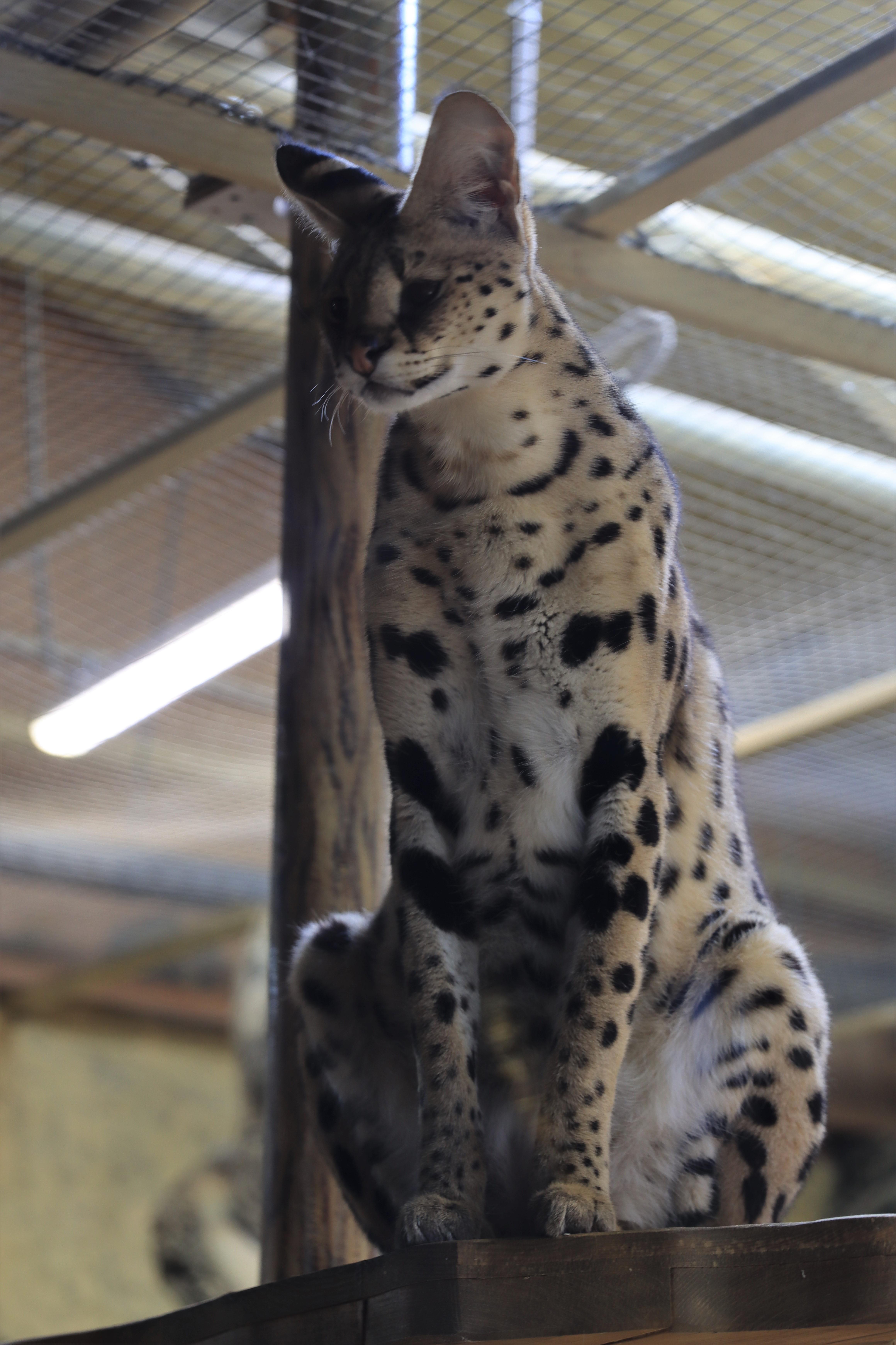 Building Resilience and Maintaining Motivation Through Plateaus