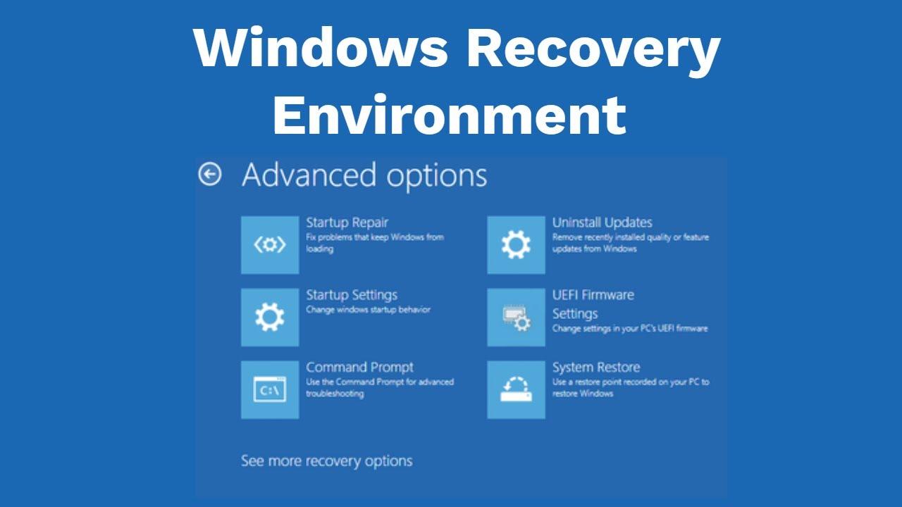 Building a Supportive Environment for Recovery