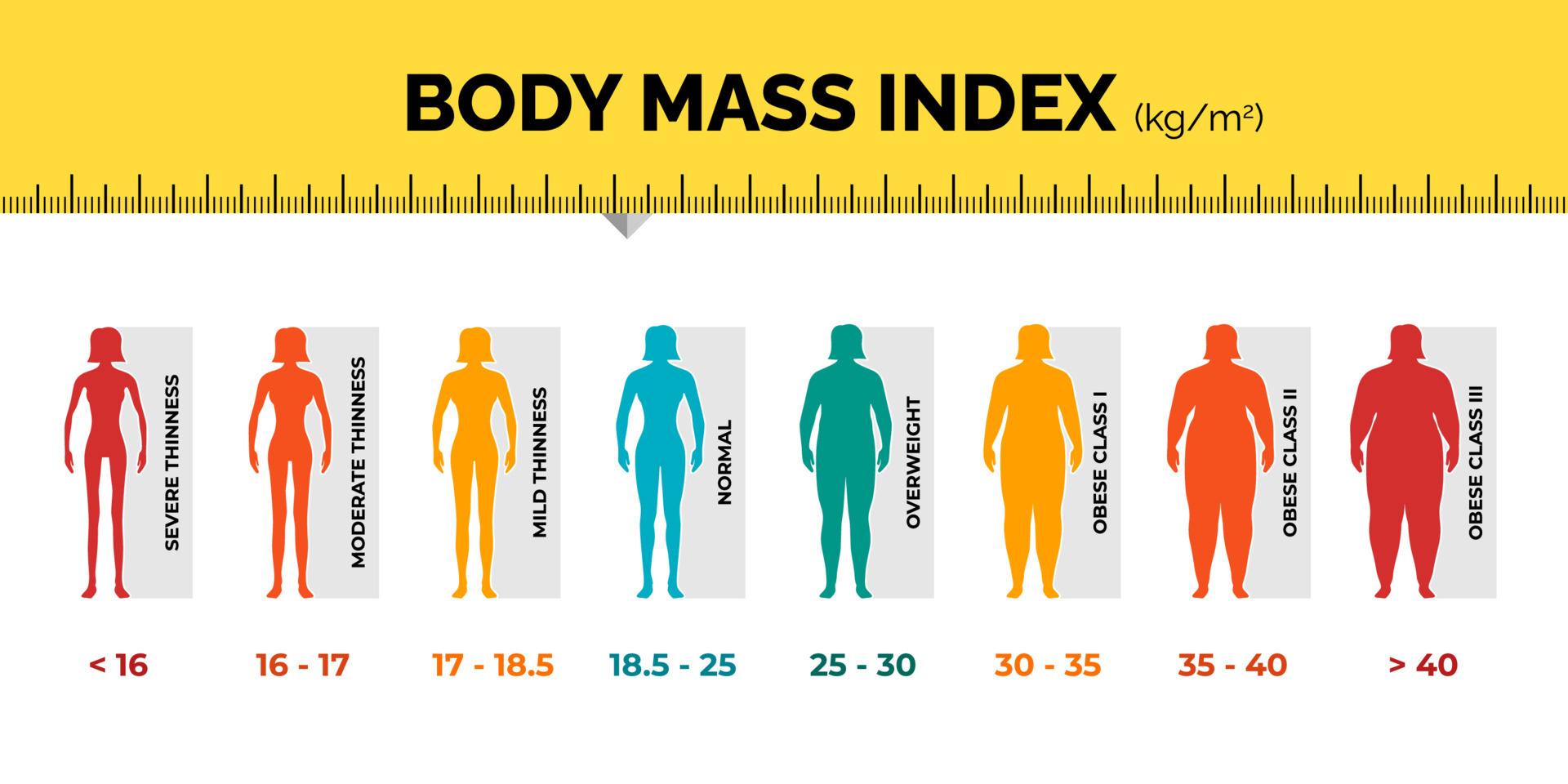 Top BMI Calculators for Precision and User-Friendliness