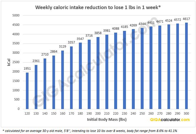 Maximizing Results with Continuous Caloric Adjustments